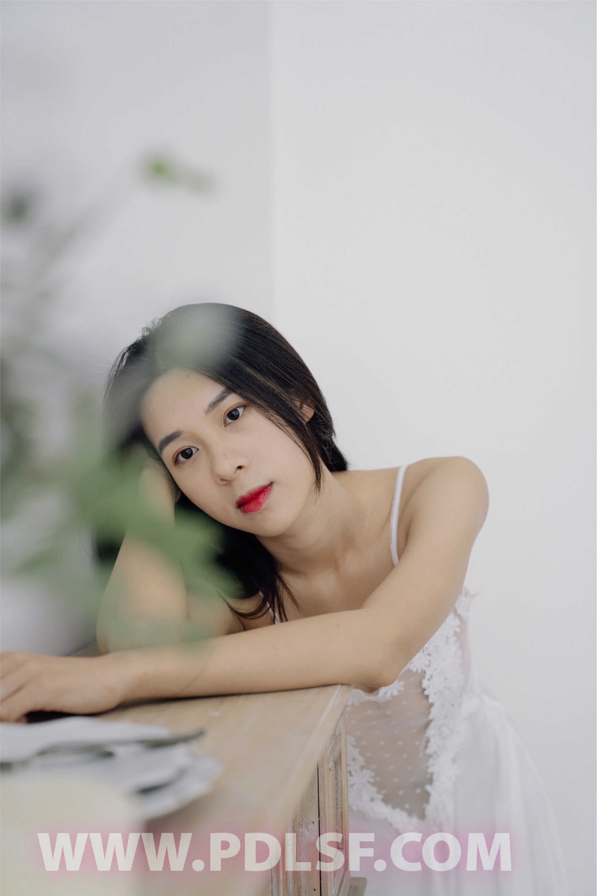 PDL潘多拉 2020.04.02 专辑No.284